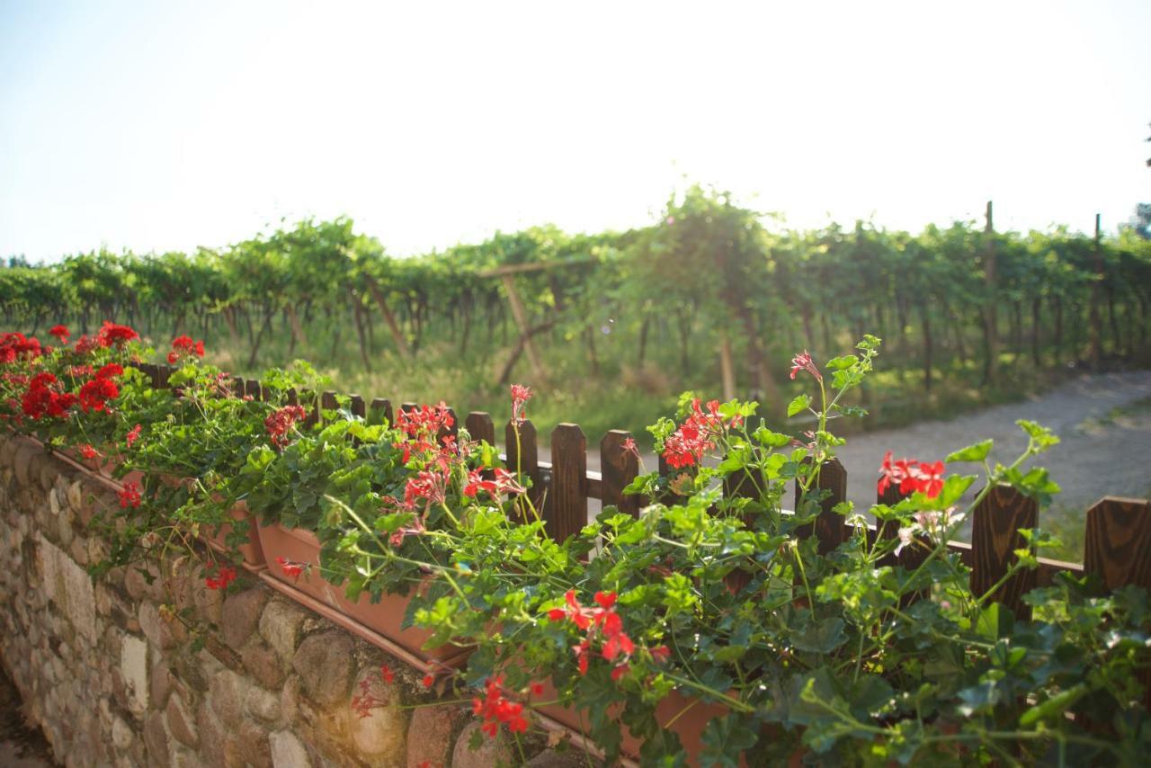Agriturismo Albarello Sona Extérieur photo