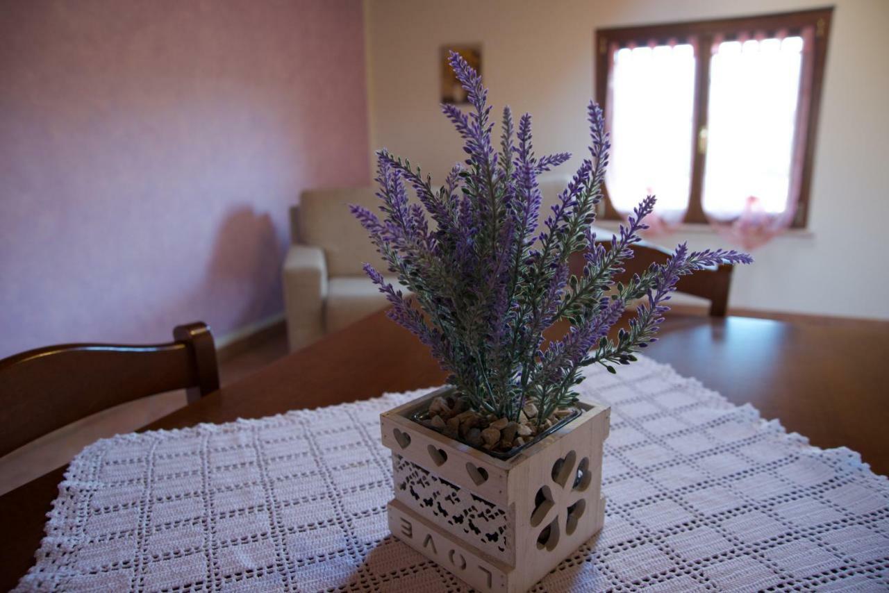 Agriturismo Albarello Sona Extérieur photo